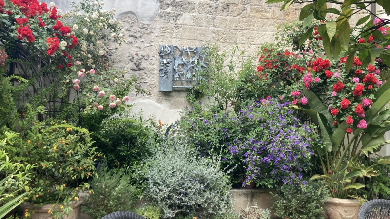 Fine Art & Patio