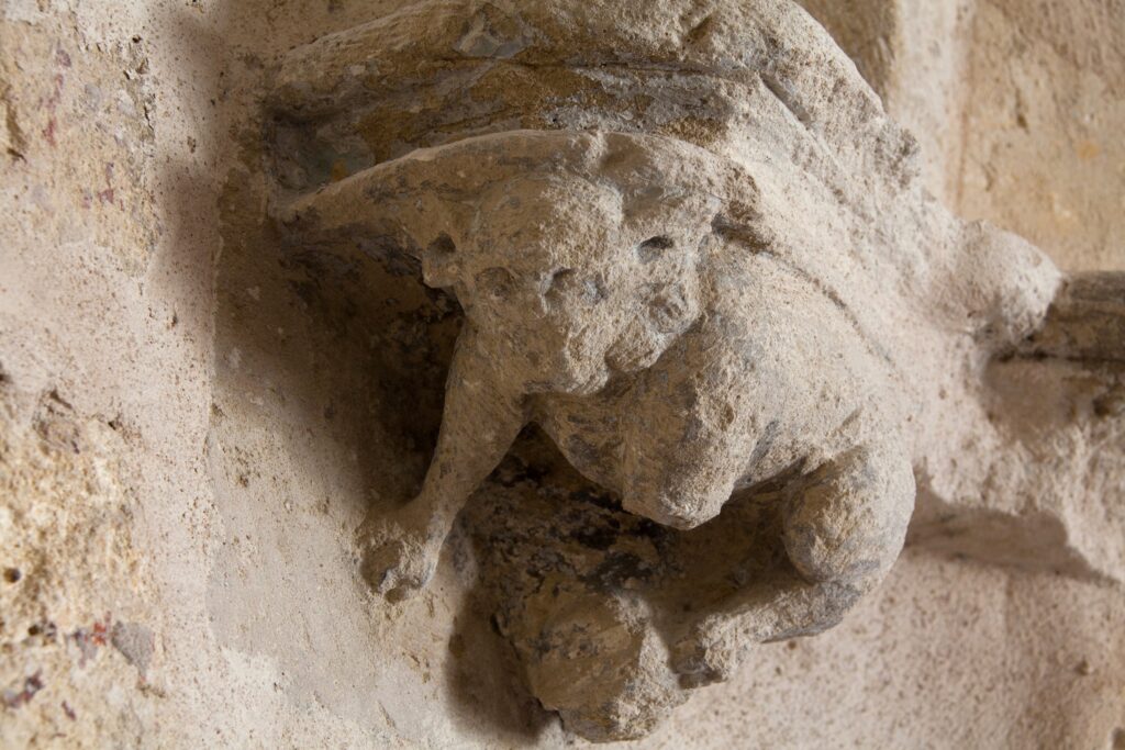 Augustins 1261, location d’appartements hôtel à Avignon